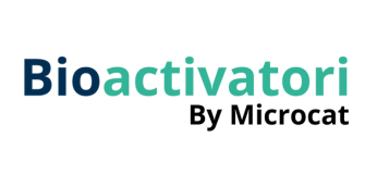www.bioactivatori.ro
