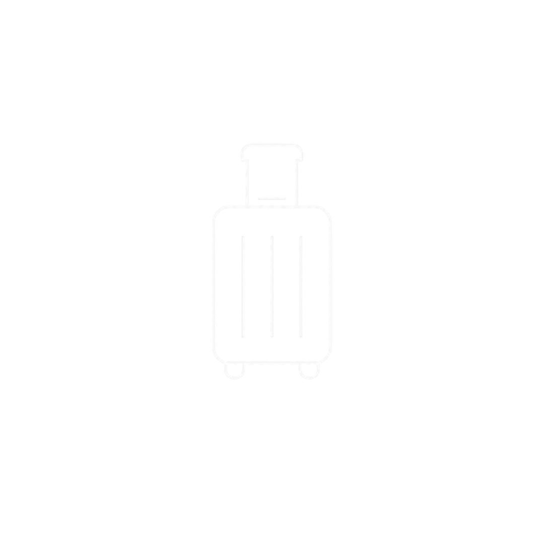 Business trip icon