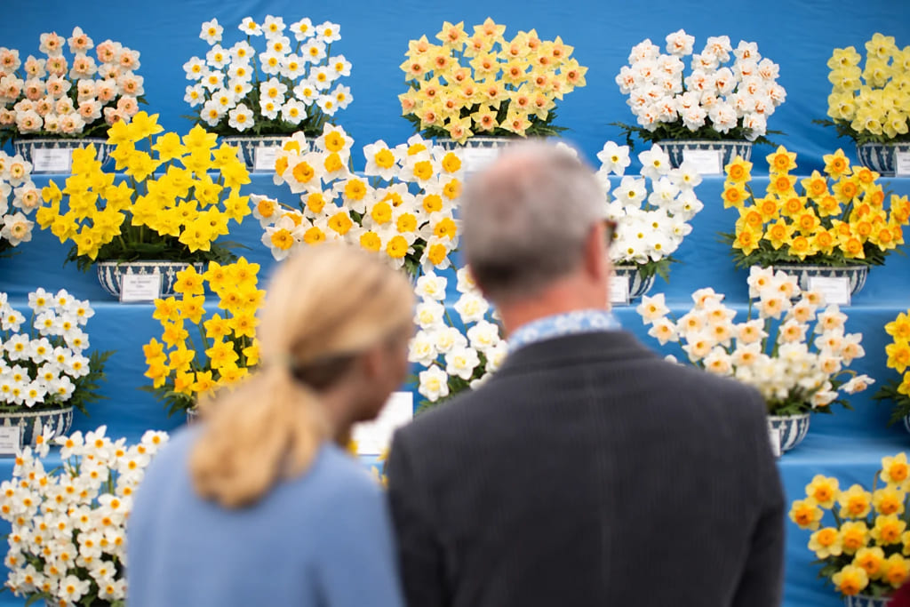 Visitors viewing floral displays at a formal daytime event.