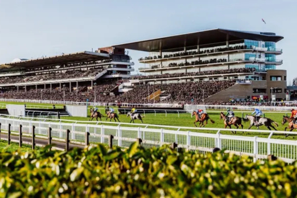 Horses racing in front of packed grandstands at Cheltenham Racecourse during a major race meeting.