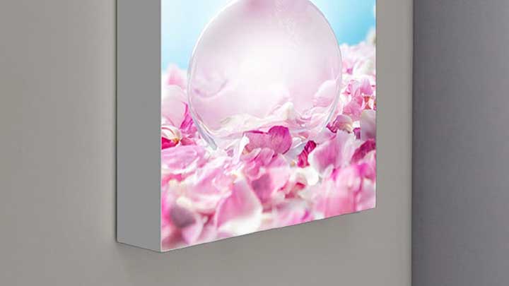 Wall-mounted light panel displaying a close-up image of a transparent orb on pink flower petals against a blue background.