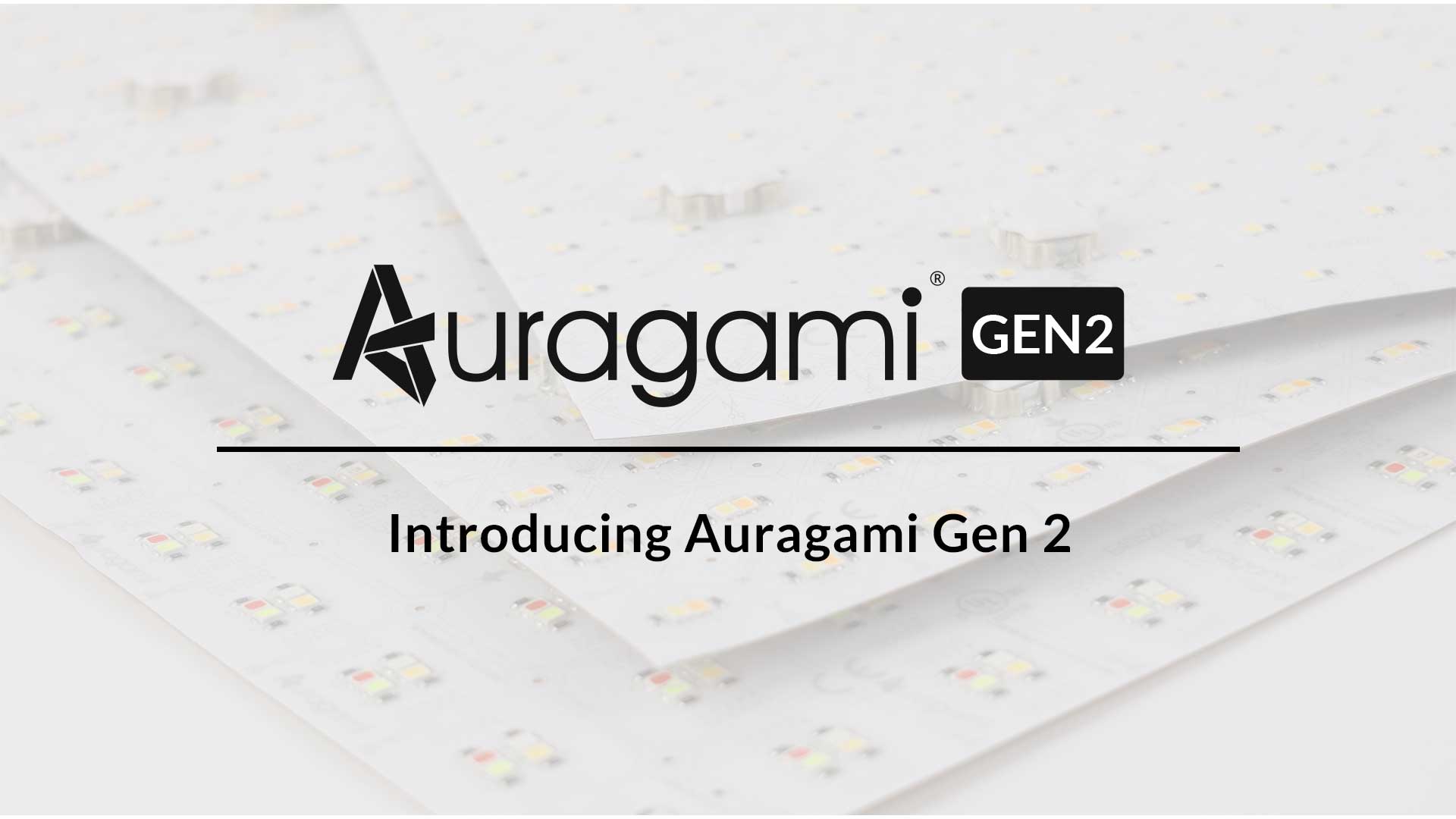 light sheet auragami gen 2