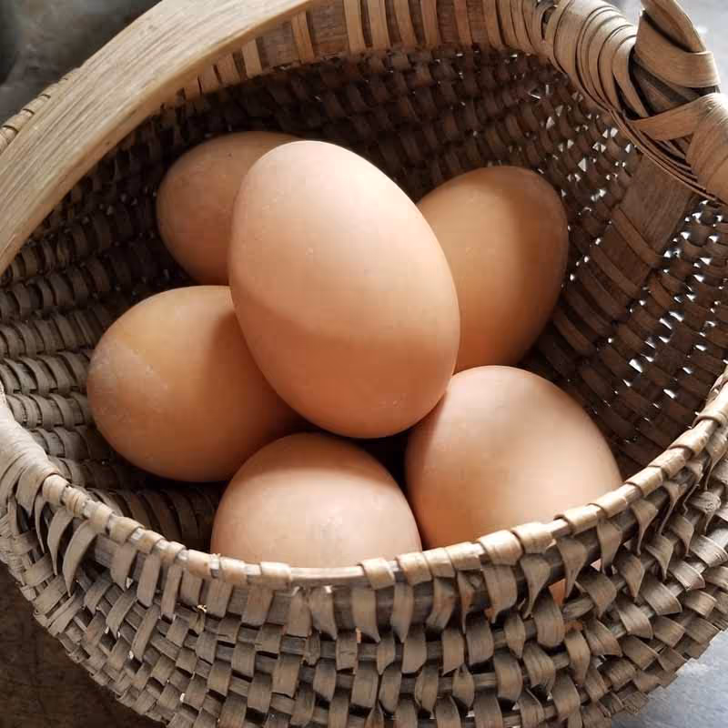 Simple Food Processing SOPA