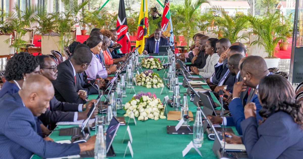 Cabinet Decisions on Fuel Levy Securitization & New Health Authority