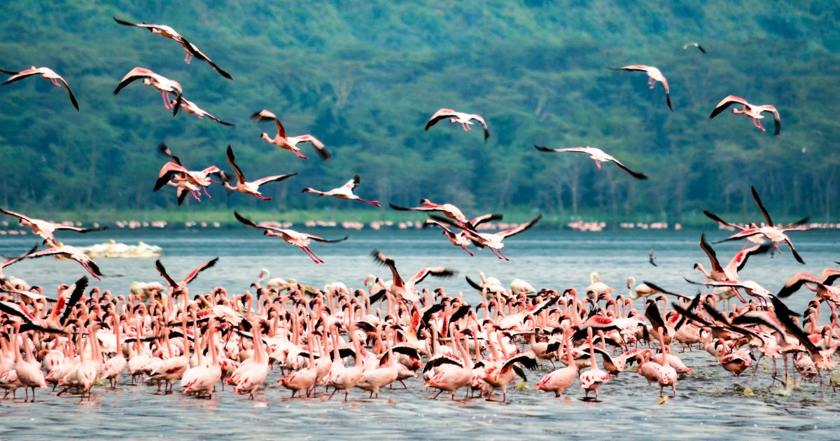 Fun Places to Visit in Nakuru County and Their Charges 