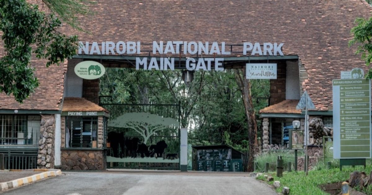 KWS Announces Increased Entry Fees for All Parks Taking Effect From October 2025
