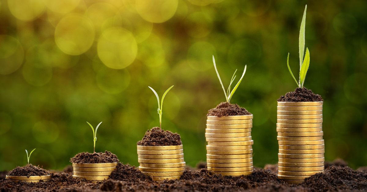 Best Performing MMFs and their Returns in November 2025