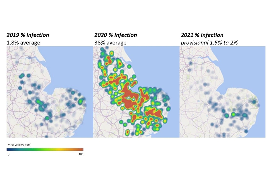 Map of aphid infestation in England