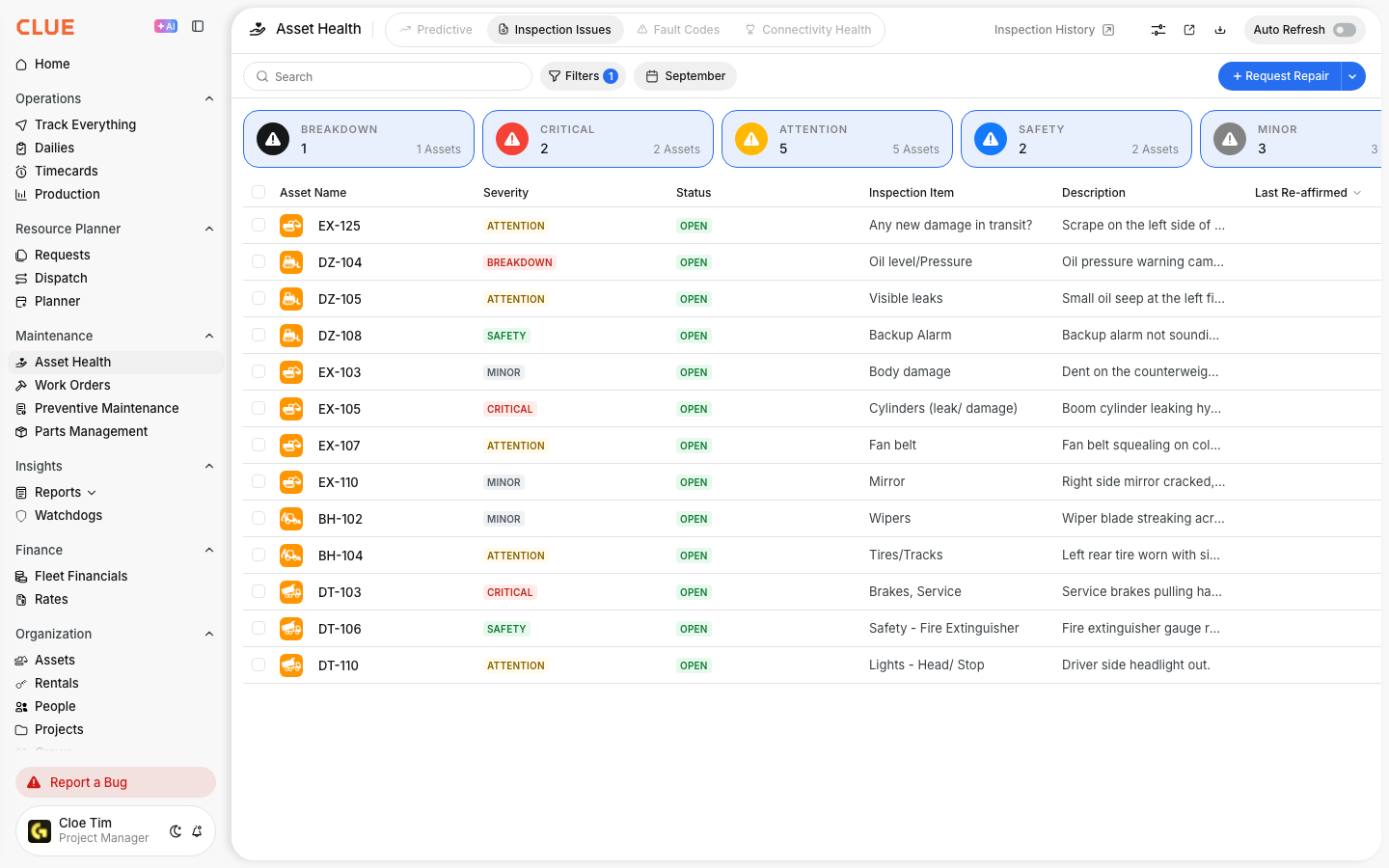 Inspection Issues list showing reported issues by asset with severity, status and inspector description