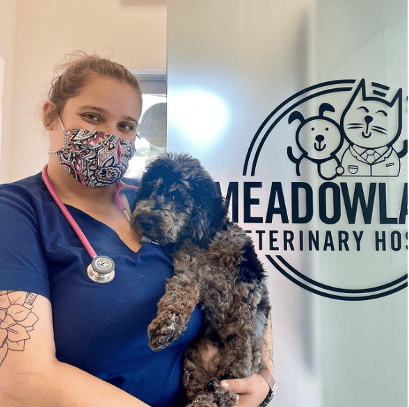A veterinarian wearing a face mask