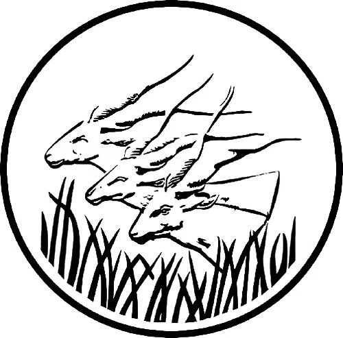 Bank of Central African States (BEAC) logo