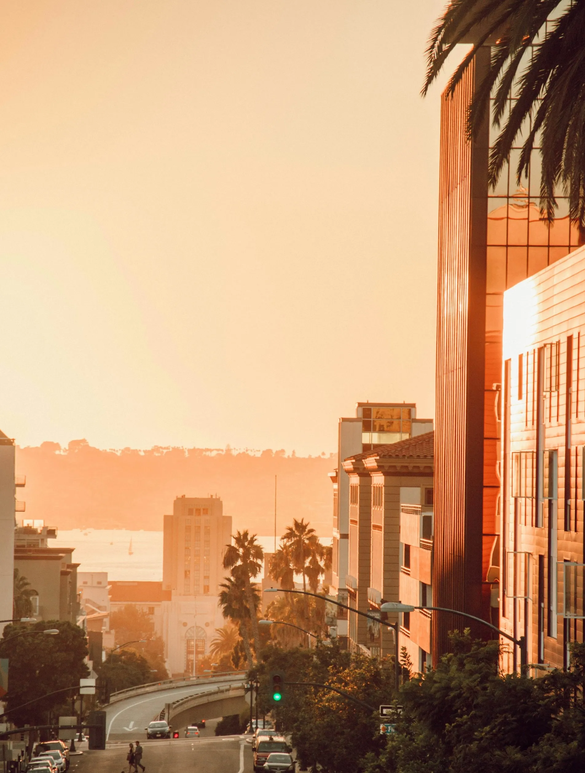 Urban street at sunset with palm trees, buildings reflecting golden light, and a distant view of water and hills.