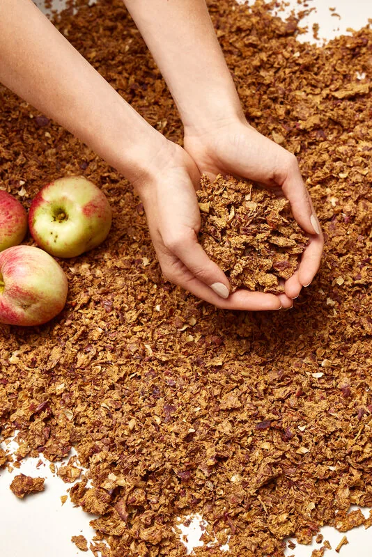 Hands holding apple pulp, the base material for Leap