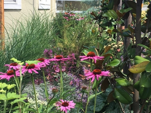 CreekScape Design – Portland Landscape Designer