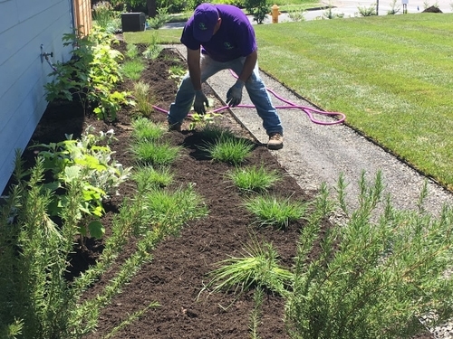 CreekScape Design – Portland Landscape Designer