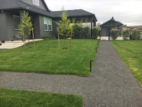 CreekScape Design – Portland Landscape Designer