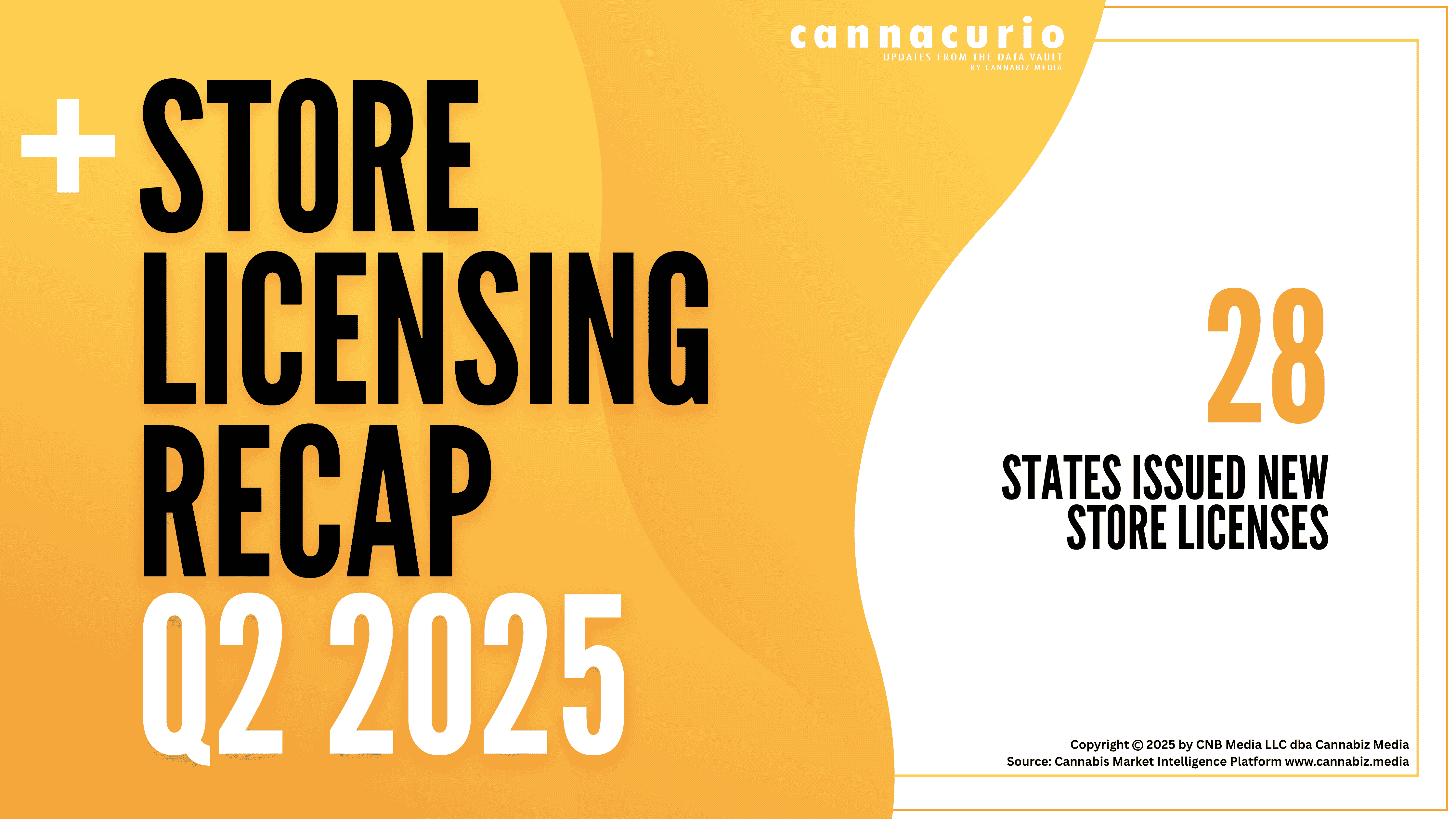 Cannacurio #115: Store Licensing Recap Q2 2025