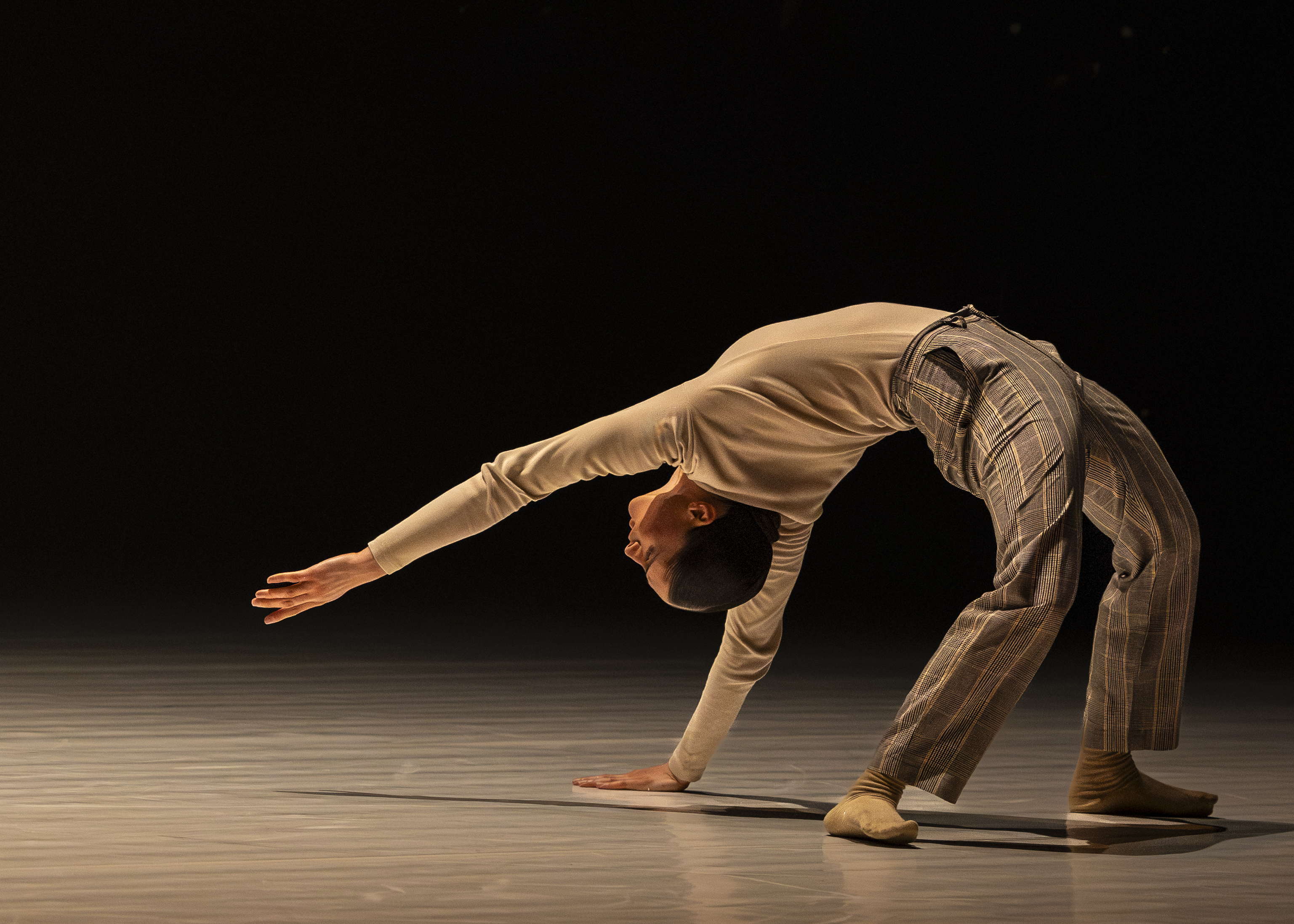 קורסים וסדנאות