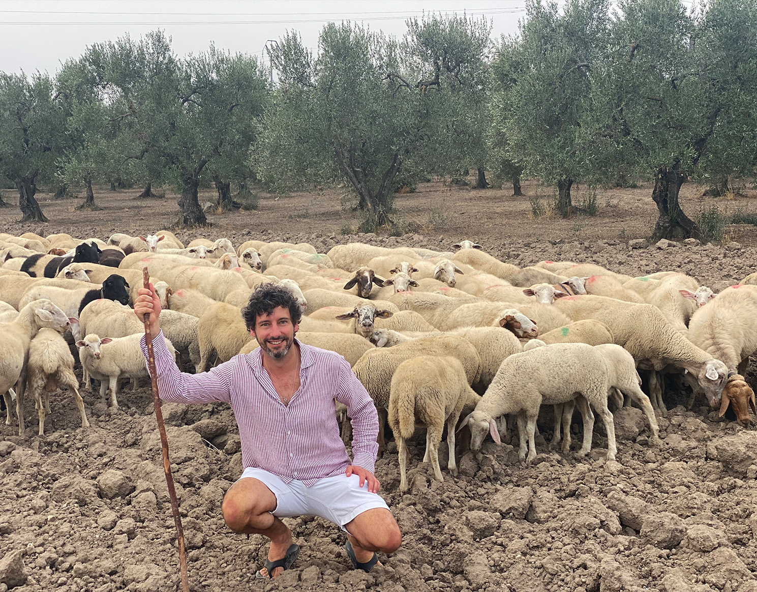 Jesse Blackwood with Sheep