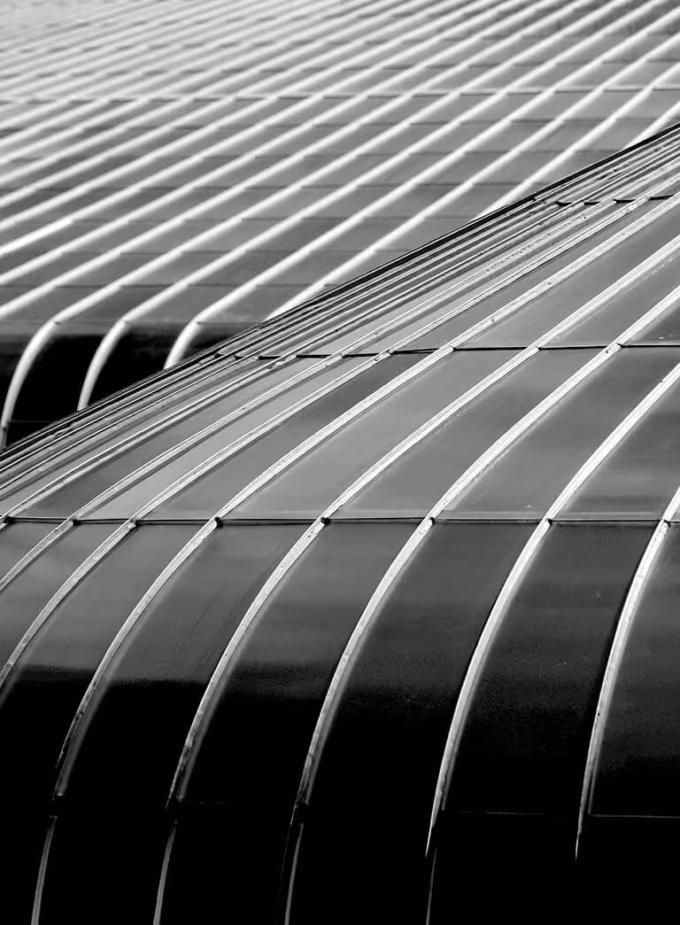 Futuro Ferrada Nehme