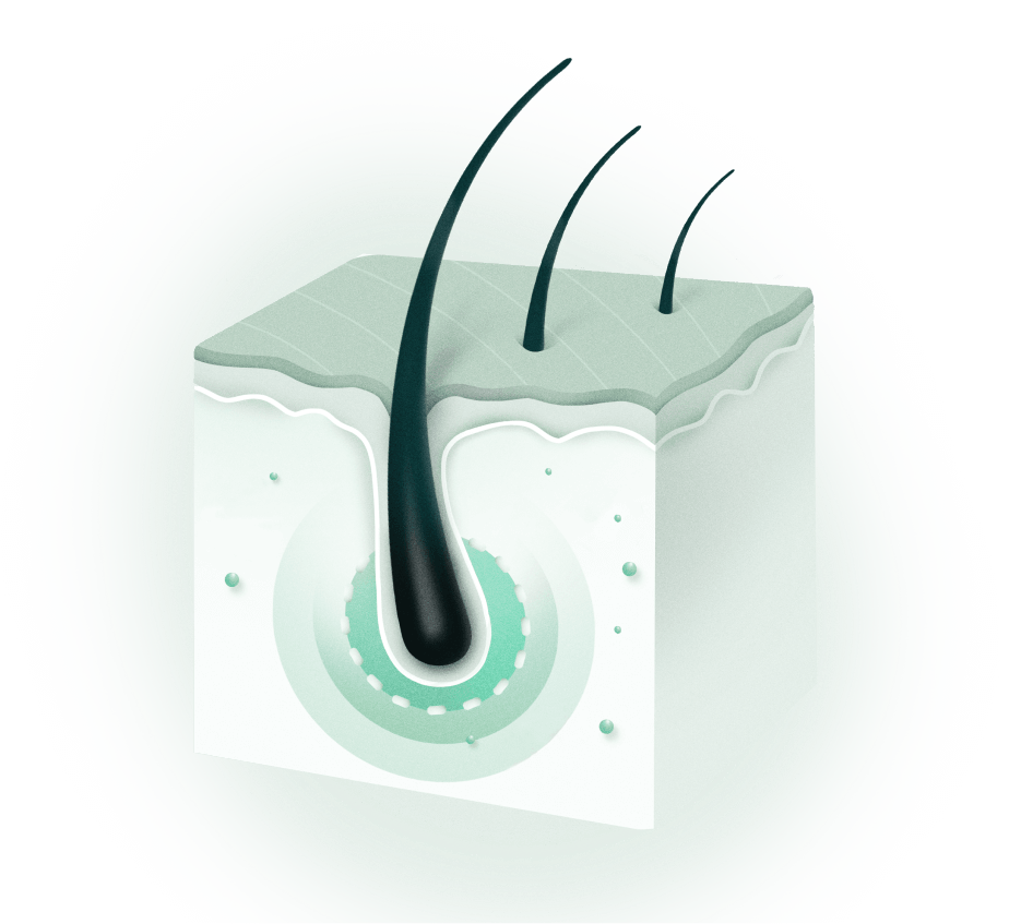 M - Stimulates follicles to growth phase