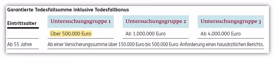 ERGO Risikolebensversicherung Untersuchungsgrenzen