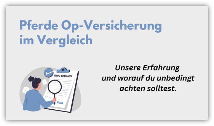 Weiterführende Inhalte