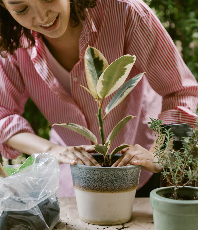 Composting at home