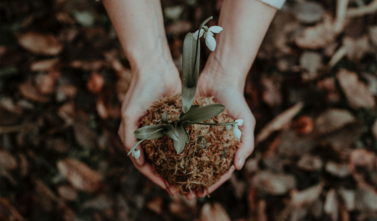 Composting at home