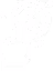 Nimble, Yet Affordable icon