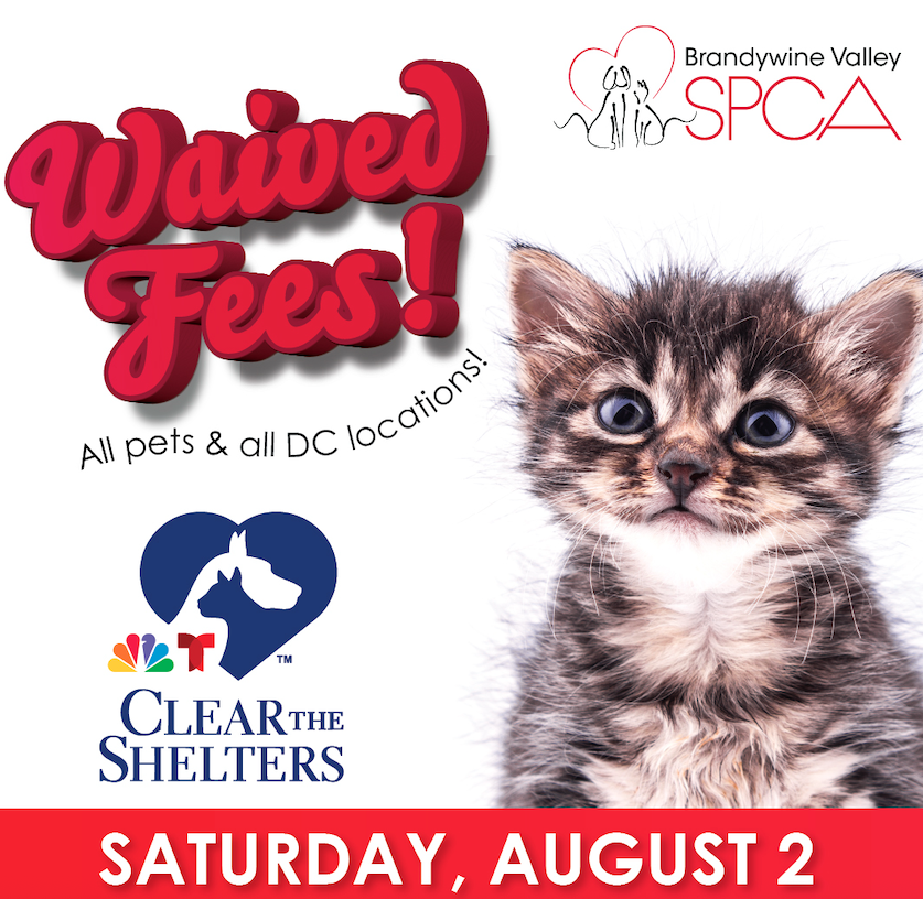 SPCA Waived Fees 