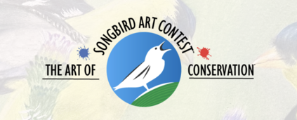songbyrd art contest