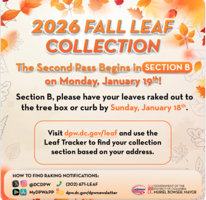 2026 Fall Collection 1/15/26