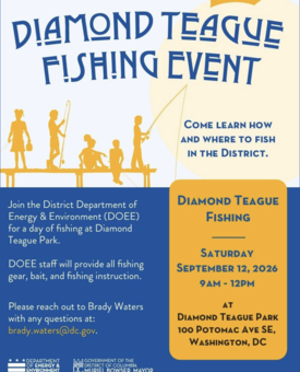 Diamond Teague FIshing