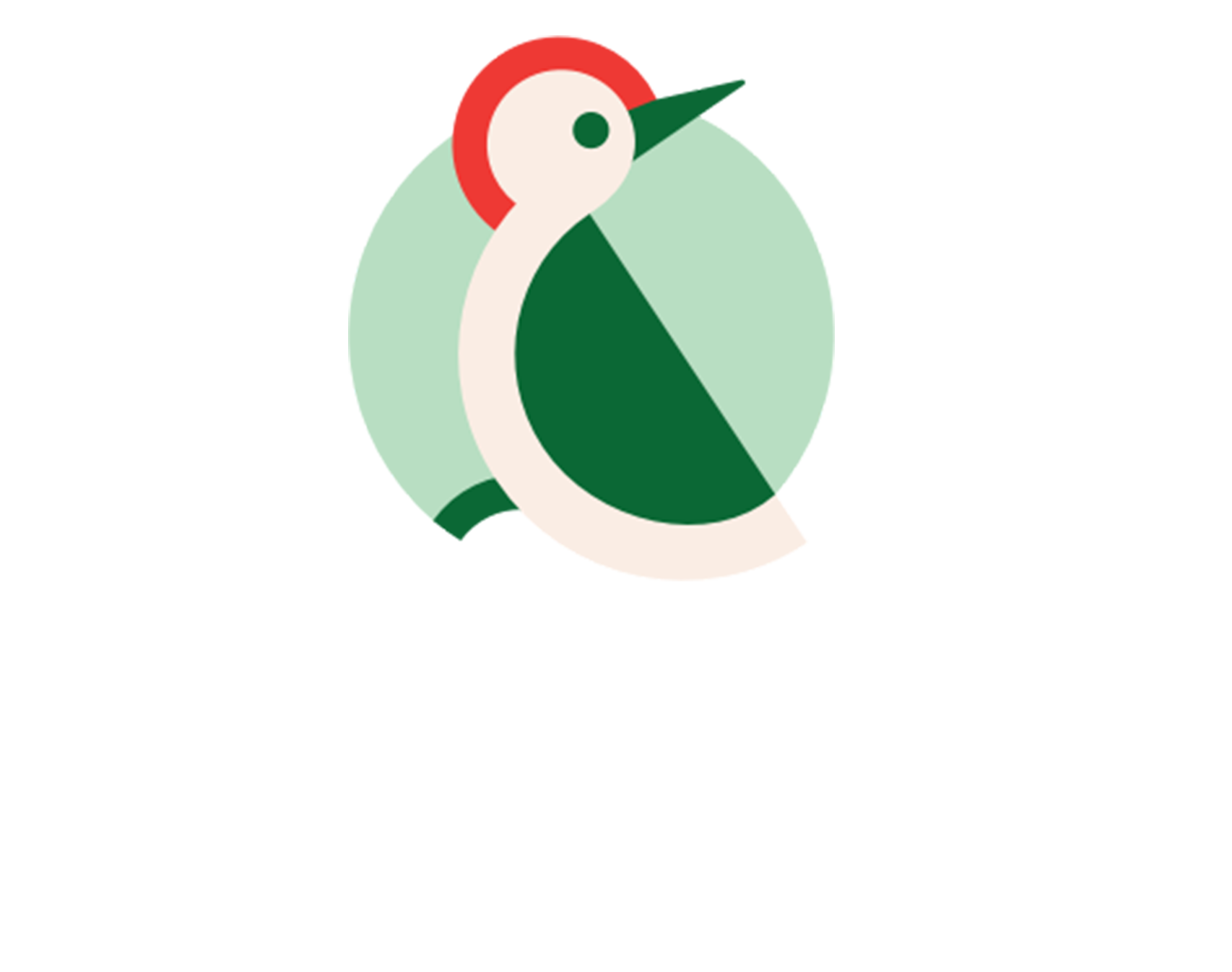 Taptap Send app on iPhone