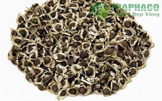 Công dụng của hạt chùm ngây