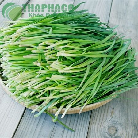 Hạt hẹ