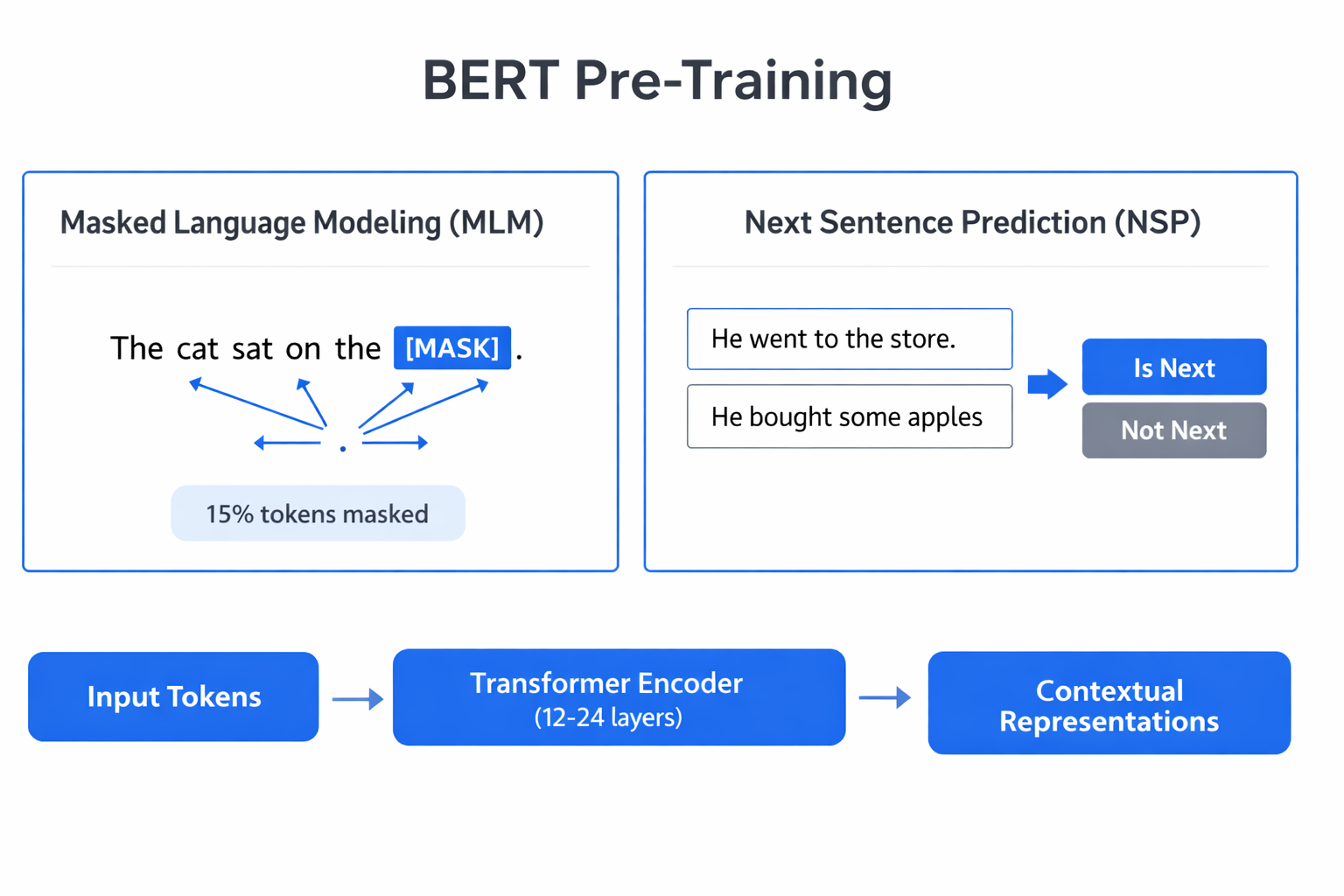 Infographic showing BERT pre-training objectives: masked language modeling with bidirectional context and next sentence prediction with binary classification
