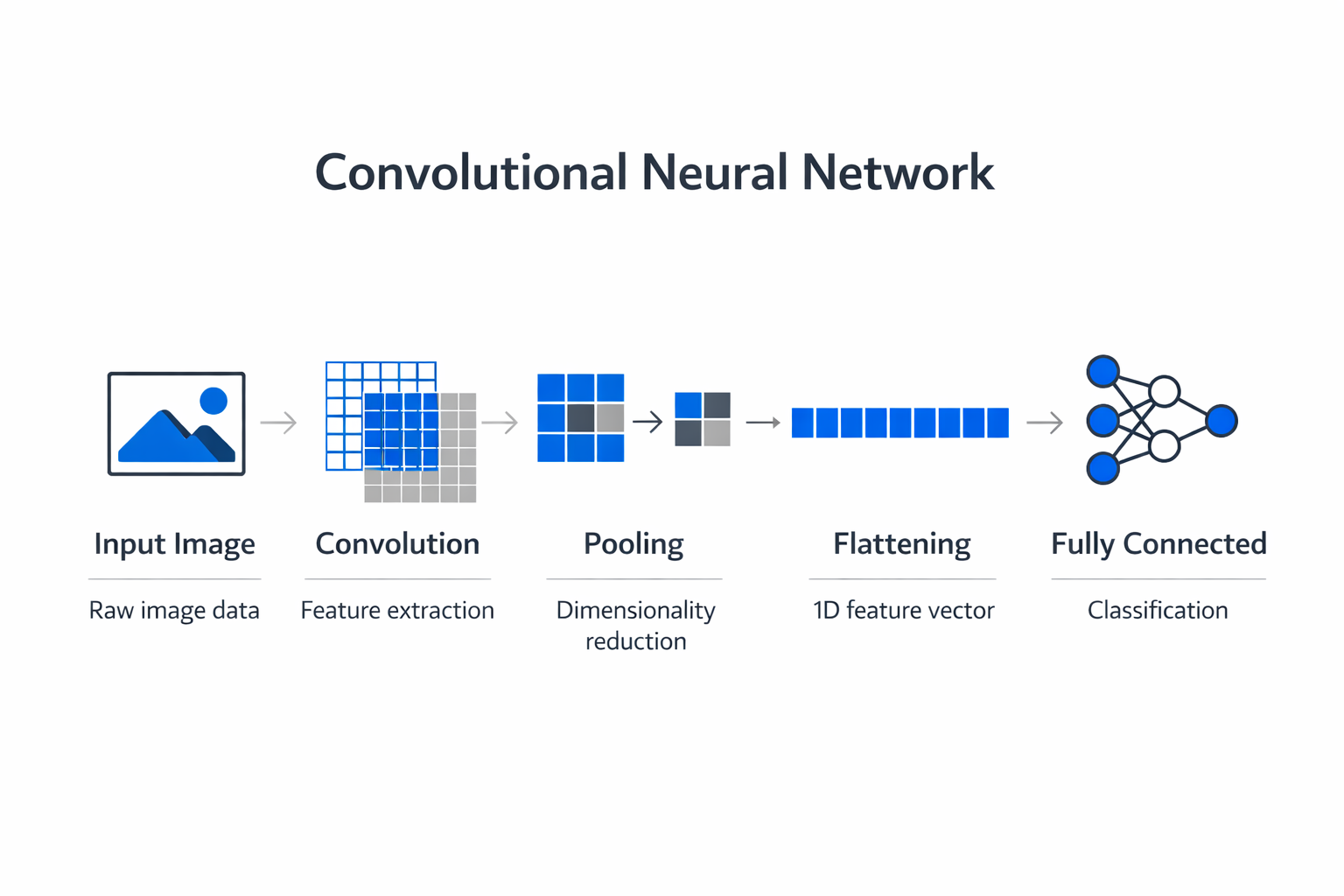 Infographic showing the key components and process of convolutional neural network