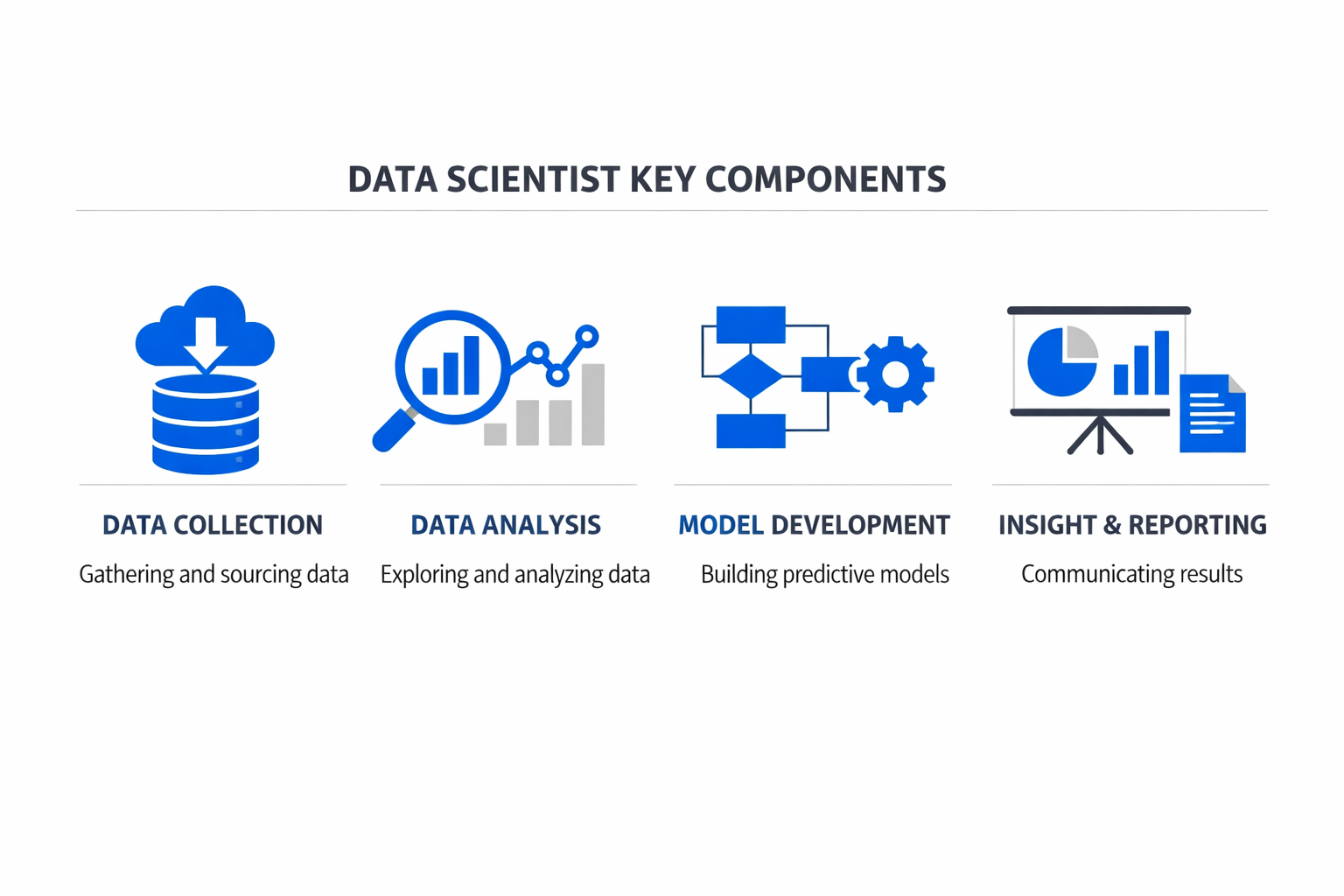 Infographic showing the key components and process of data scientist
