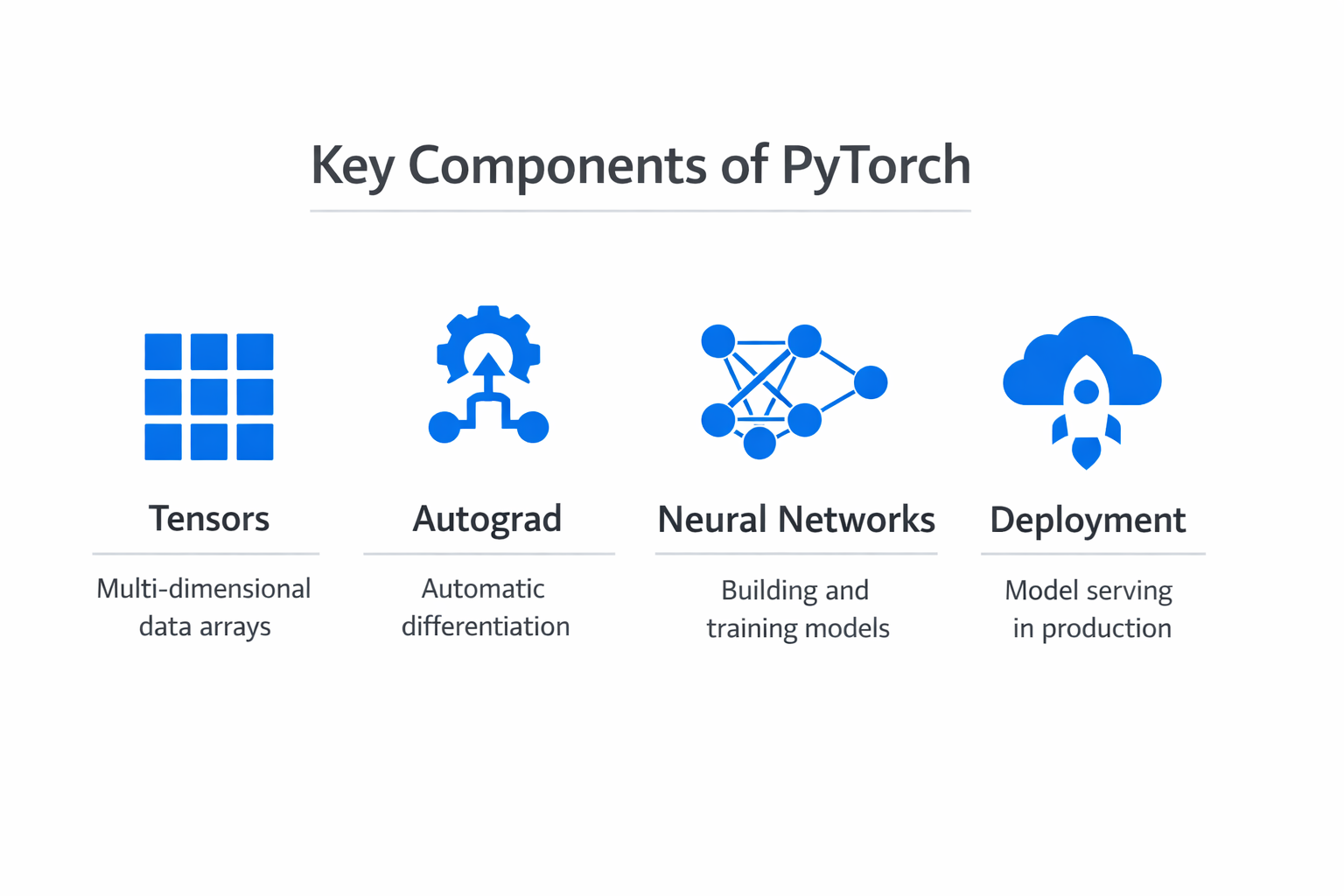 Infographic showing the key components and process of PyTorch