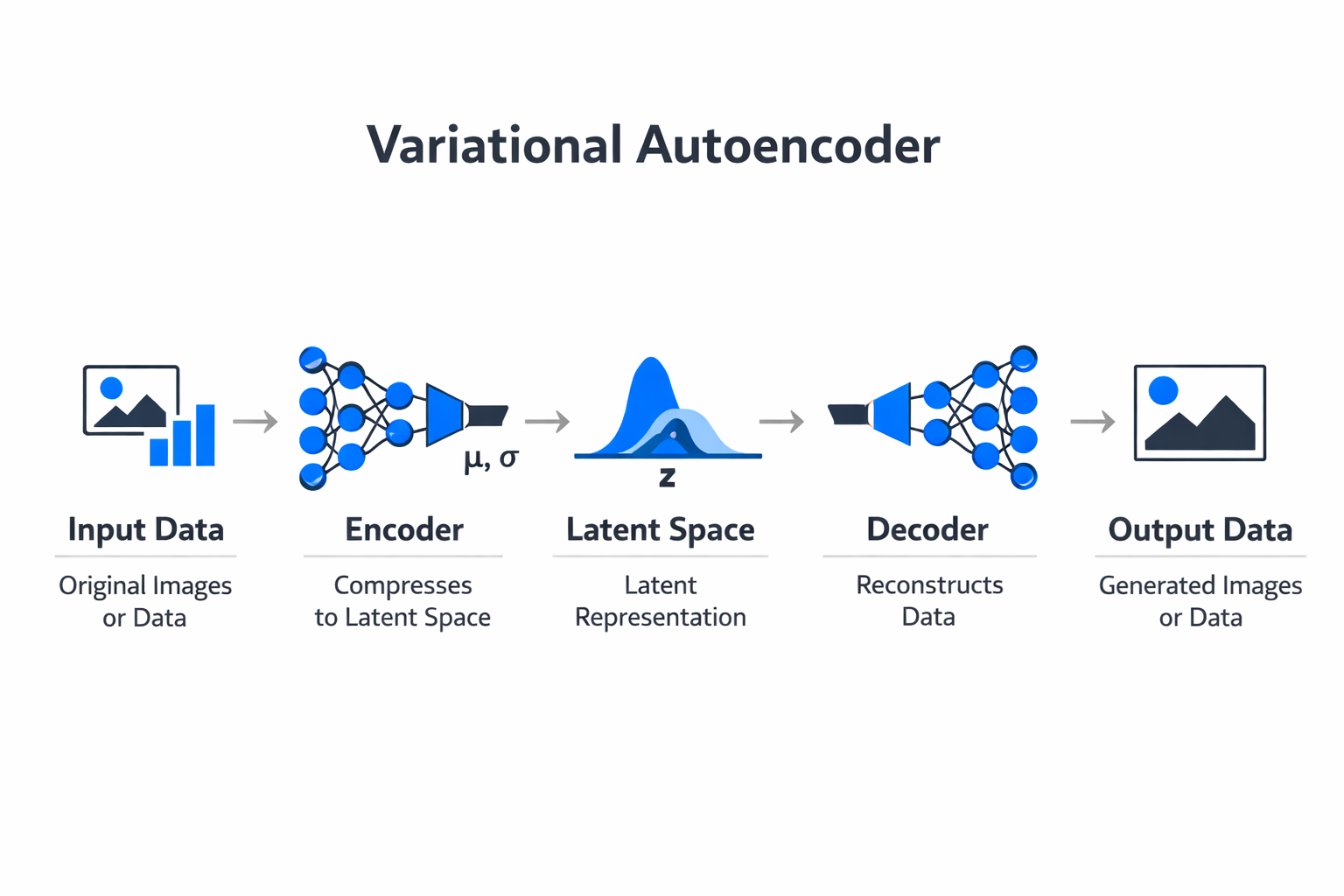 Infographic showing the key components and process of variational autoencoder