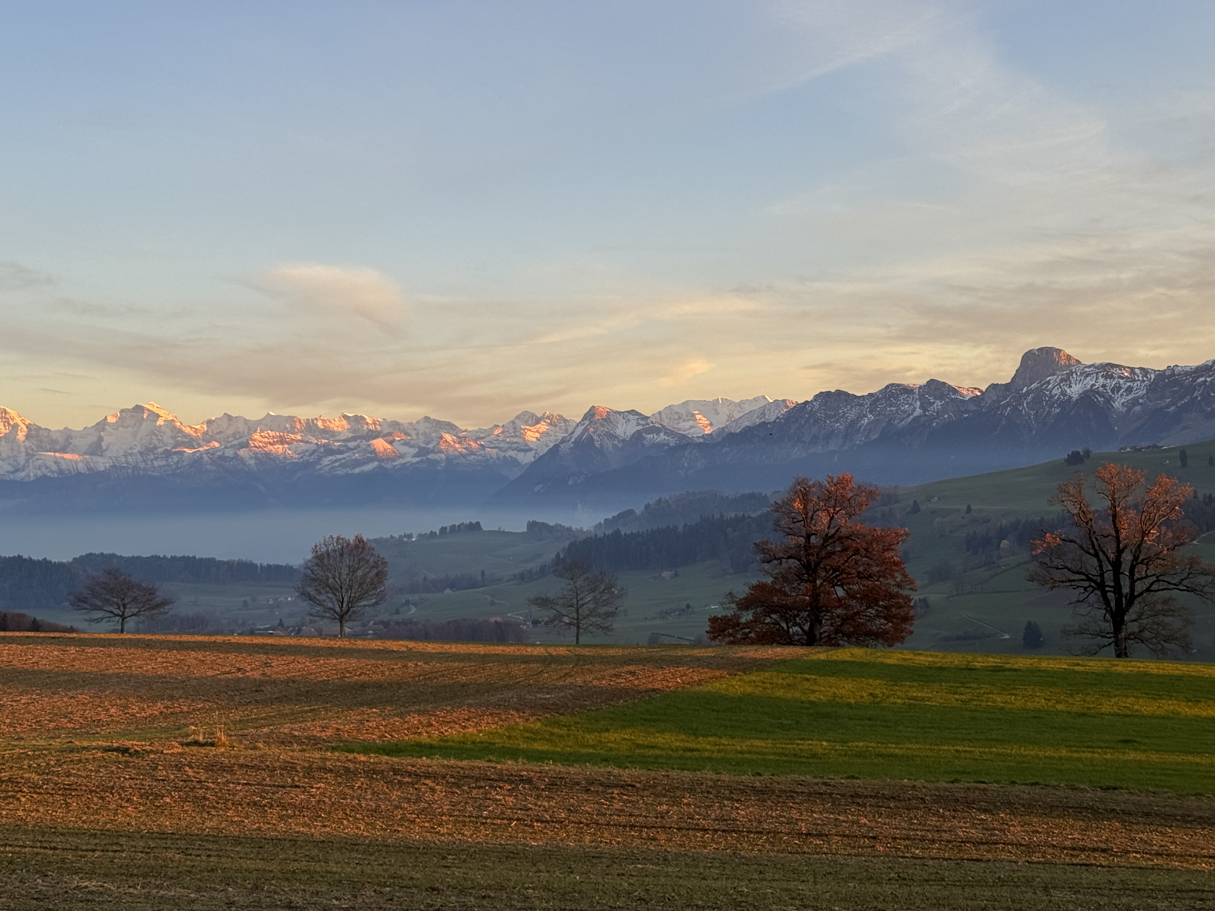 Hier wird Wohnen zum Erlebnis