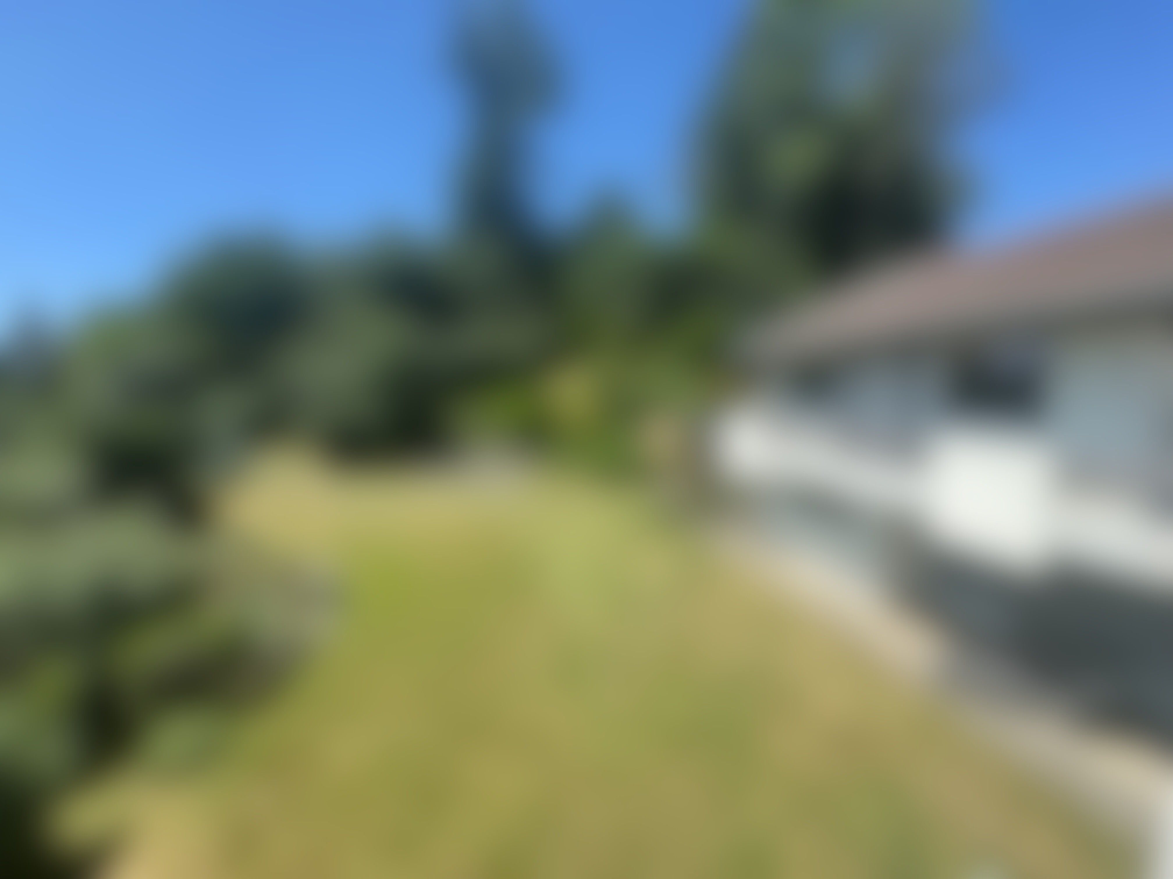 Mehr als ein Zuhause: Ein Rückzugsort mit eigenem Wald - Offmarket