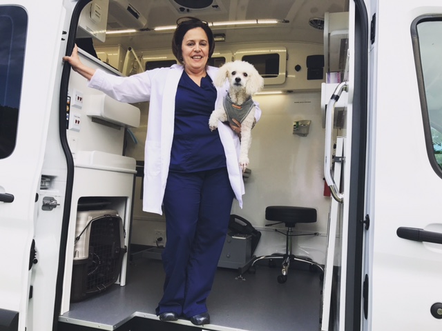 Teresita Linares photo in van