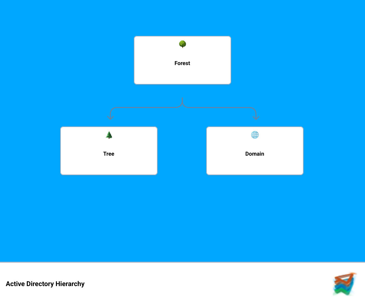 Infographic showing Active Directory hierarchy with Forest at the top containing multiple Trees, each Tree containing multiple Domains, and each Domain containing multiple Organizational Units with user and computer icons inside them - active directory setup infographic hierarchy Infographic showing Active Directory hierarchy with Forest at the top containing multiple Trees, each Tree containing multiple Domains, and each Domain containing multiple Organizational Units with user and computer icons inside them - active directory setup infographic hierarchy