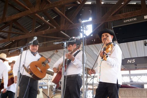 Three men in dark hats, dark pants, and white, button-down shirts play guitar on a stage.