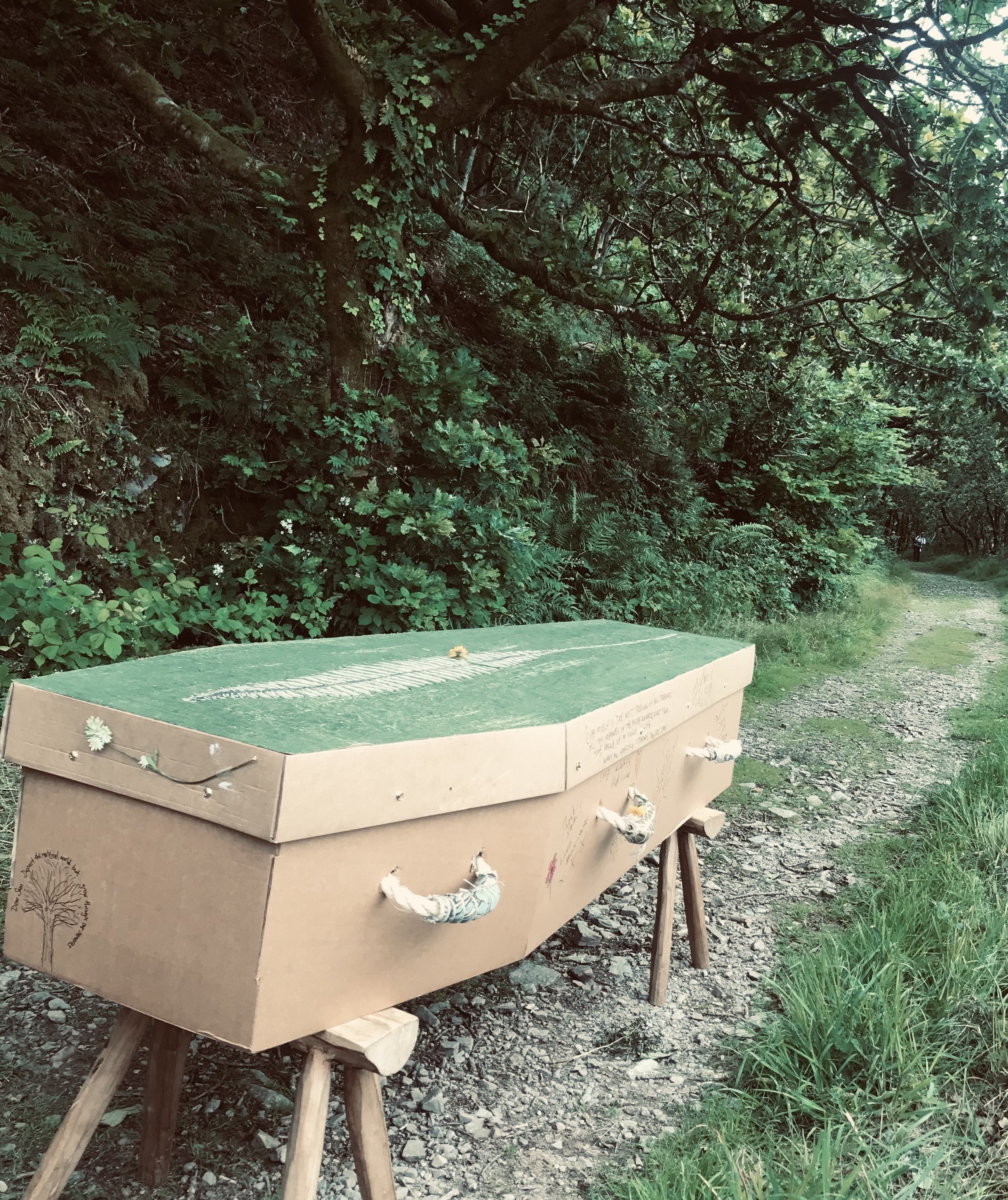 657b1595591b8eba6627f796 coffin