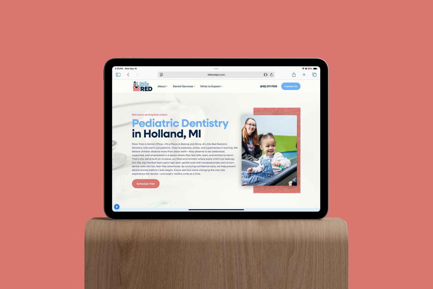 Inside the Little Red Case Study: Website, Social Media, and Content