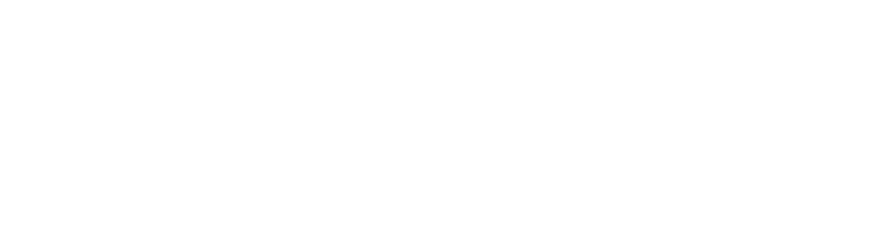 Dishout